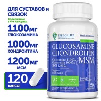 GLUCOSAMINE & CHONDROITIN MSM (120капс)